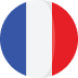 Paris flag